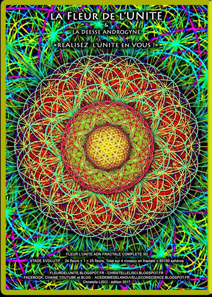 THE FLOWER OF THE UNITY THE FLOWER OF THE UNITY