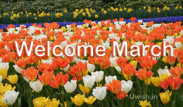 Its March. Spring season. Lets welcome march. 