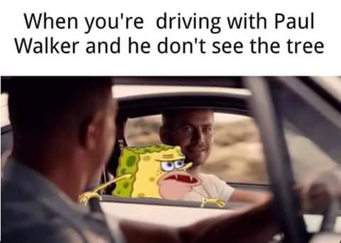 cave bob in furious