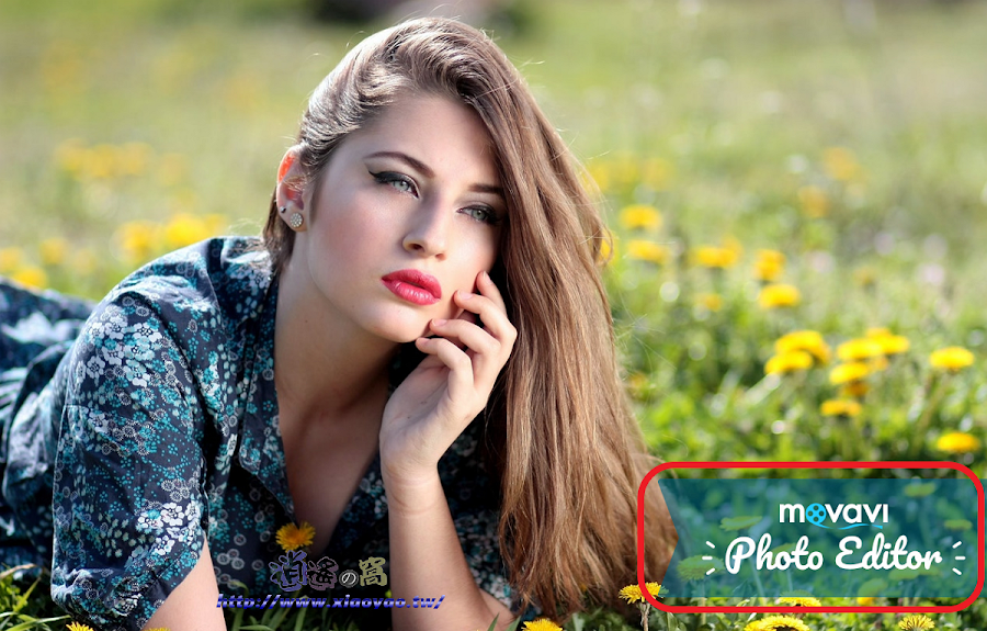 Movavi Photo Editor 簡單易用的修圖軟體