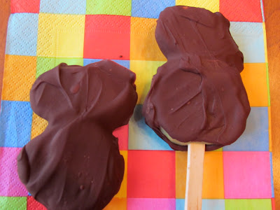 Frozen Chocolate Covered Fruit Pops