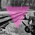 Il triangolo rosa