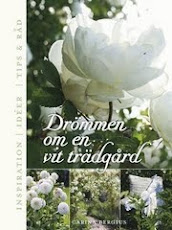 Drömmen om en vit trädgård av Carina Bergius