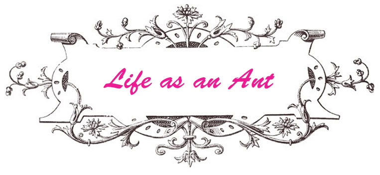 Life as Ant