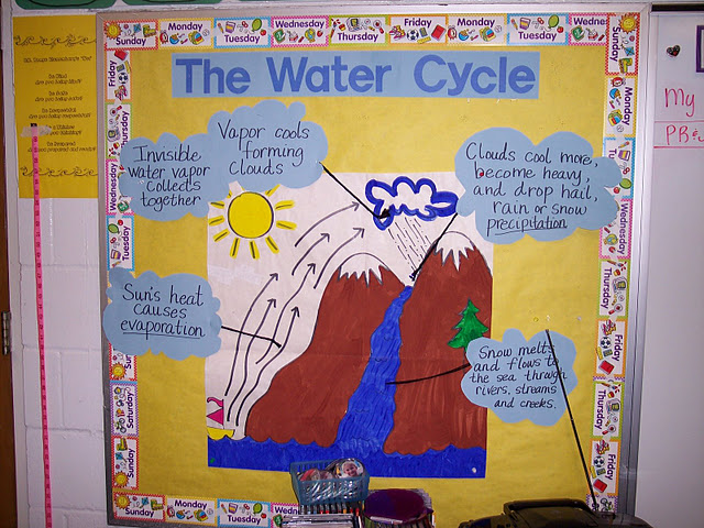 The Half Full Chronicles: Let's Chat About the Water CYCLE!