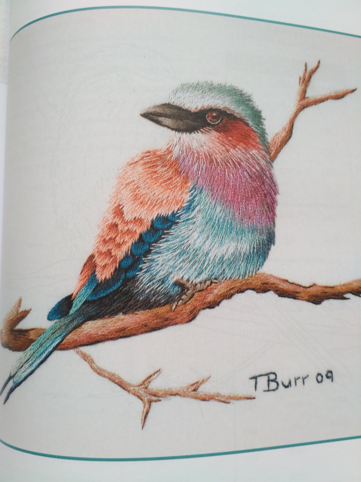 триш бурр ботаническая вышивка. триш бурр вышивка гладью. оттеночное вышивание гладью триш бурр. триш бурр колибри. триш бурр ботаническая вышивка.