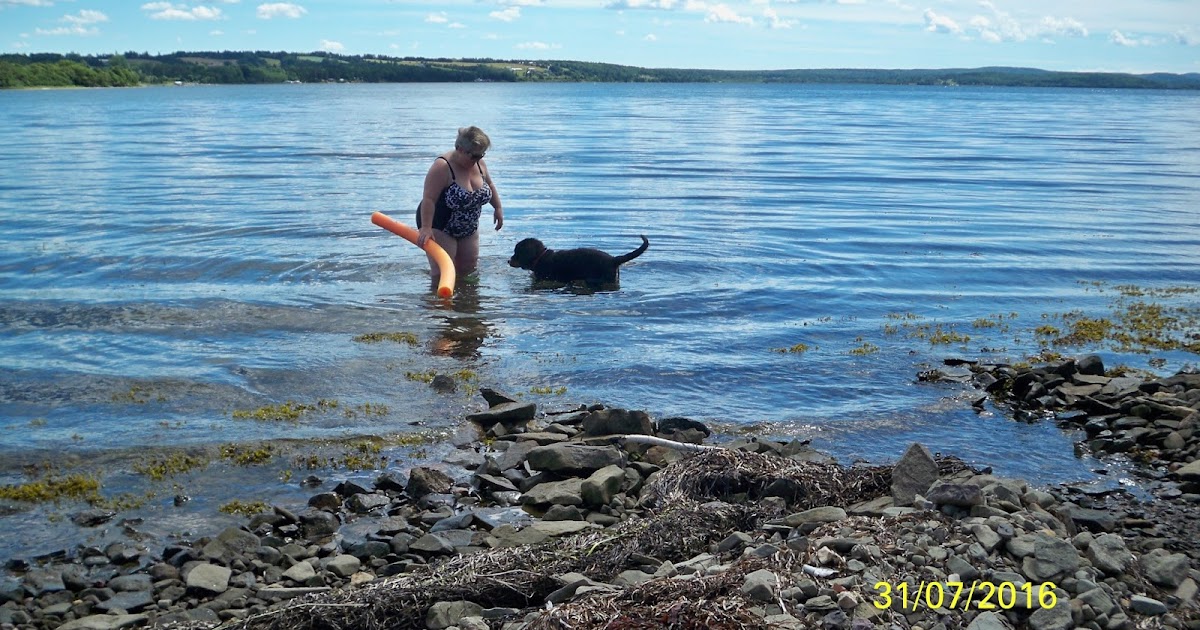 Maximus Handsomius (Max) 1/Aug/16 the Bras d'Or Lakes