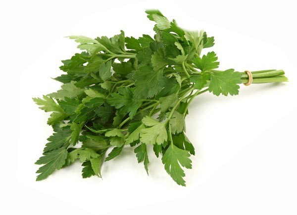 Manfaat Seledri - Den Blangkon