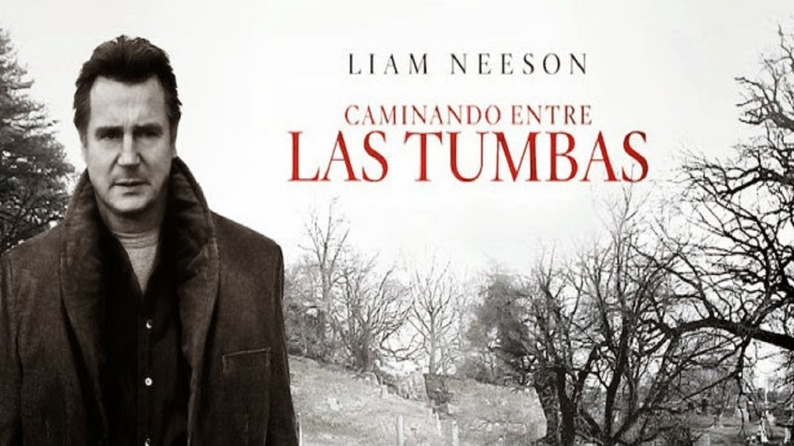 Caminando entre las tumbas (2014)