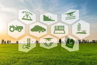 DRED Supply chain