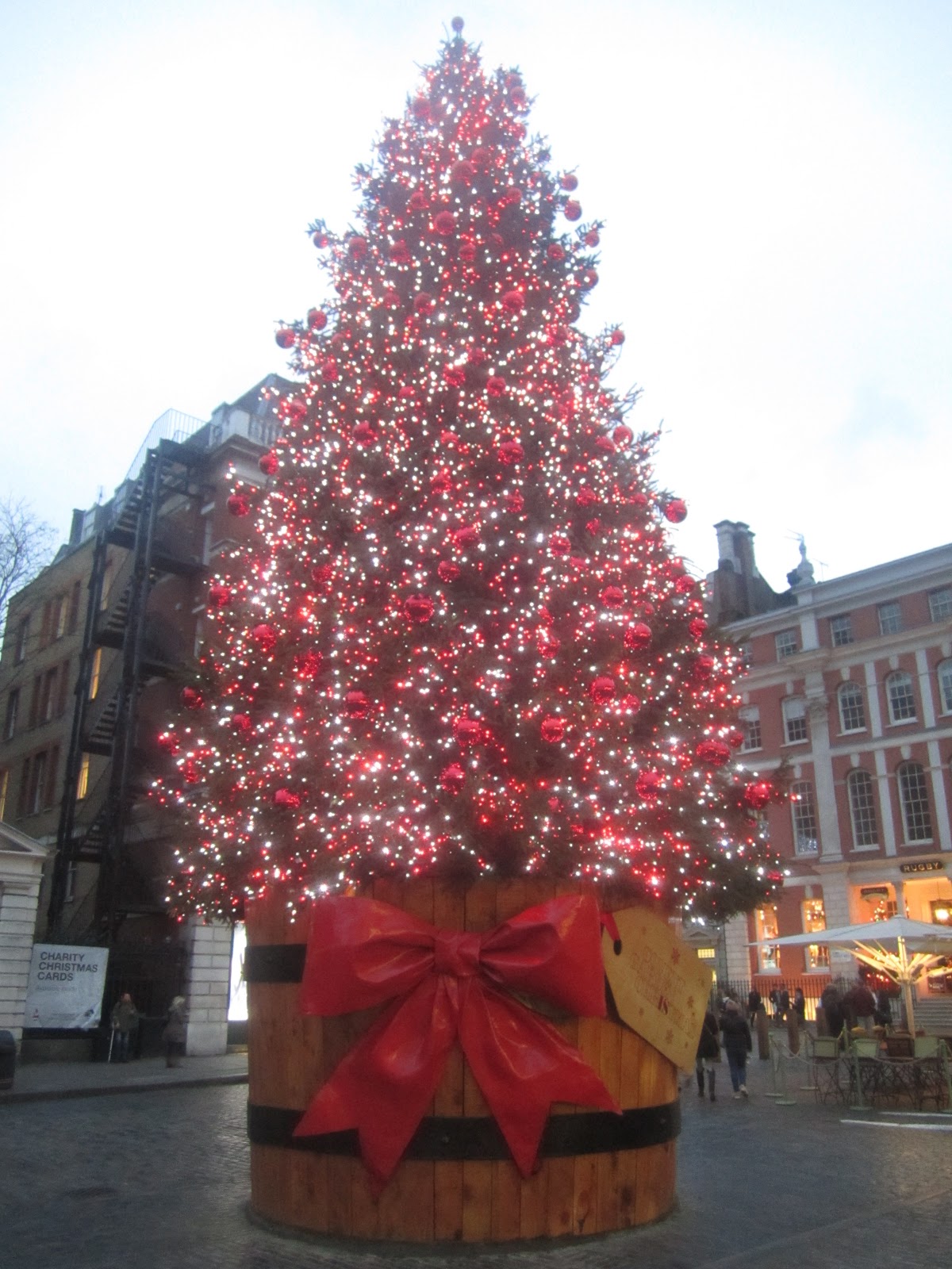 Gibby Goes to London Christmas tree in Covent Garden