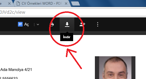 Cv örnekleri Indircv Indirboş Cv Cv örnekleri