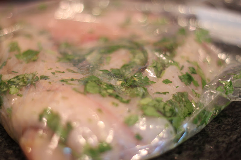 do it yourself divas DIY Cilantro Tilapia Tin Foil Dinners