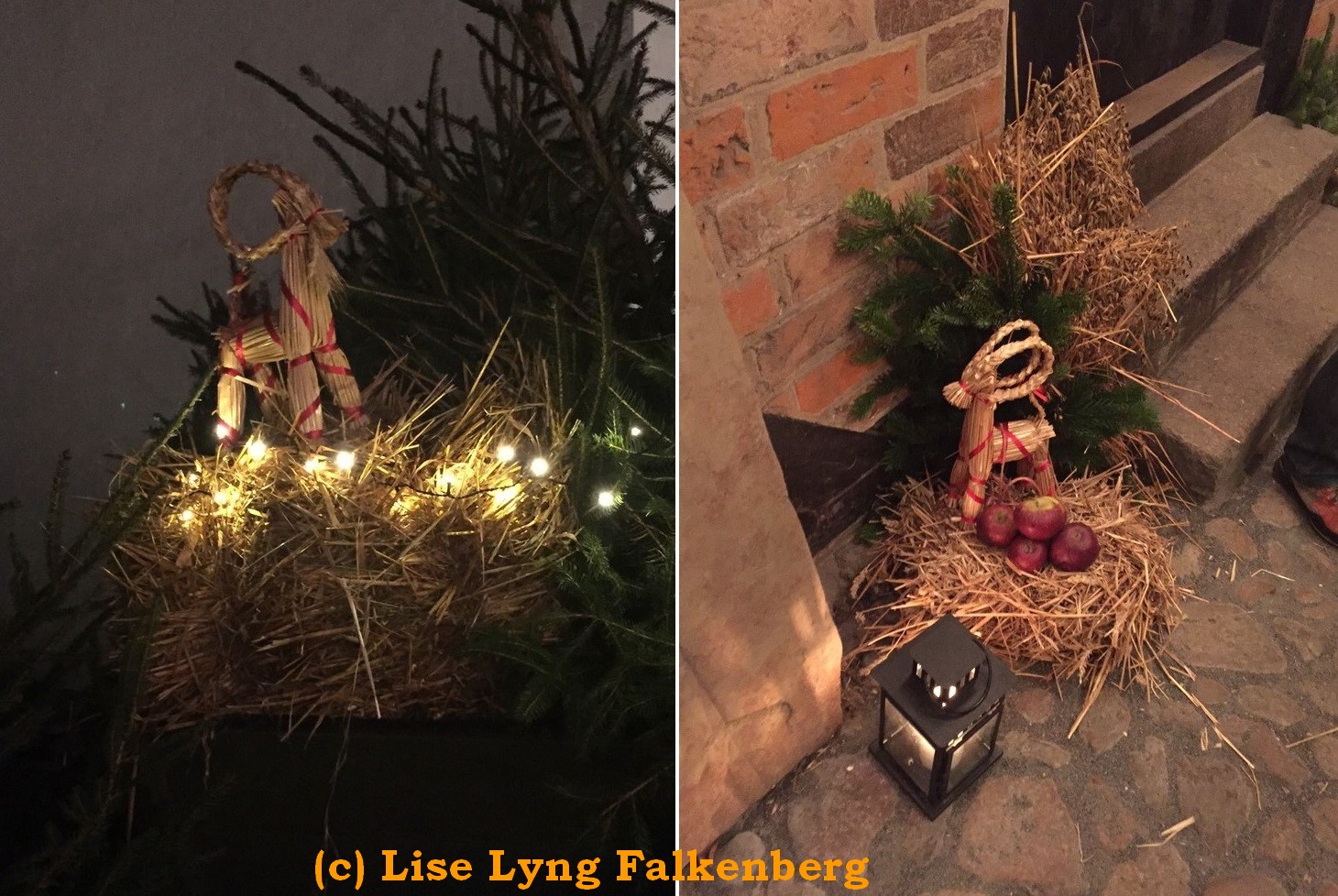 Lise Lyng Falkenberg's Point of View The Hans Christian Andersen