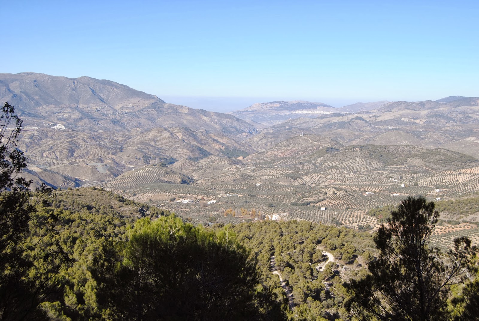 Supervivencia ef El Valle del Frontil Tierra entre Fronteras de