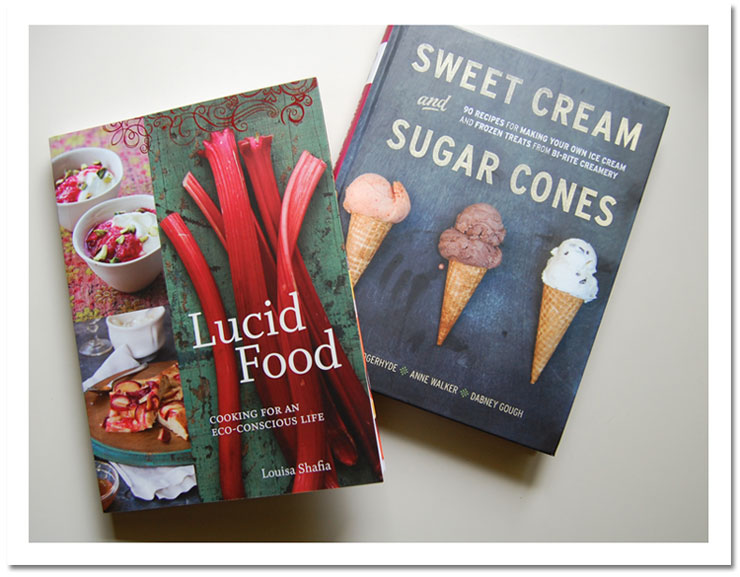 Lucid Food ~ Sweet Cream and Sugar Cones