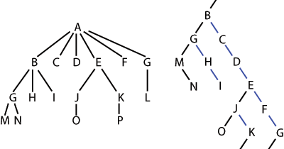 Oneeio: Binary Tree dan Graph