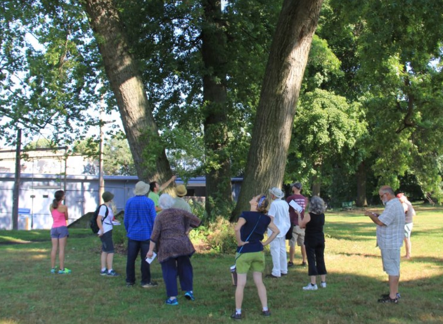 PA Environment Digest Blog Tree Pittsburgh Hosts Tree Ordinance