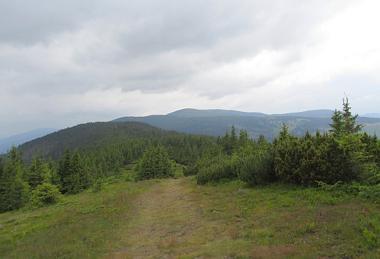 Widok z grzbietu Andrejcovej na zachód. Widok z grzbietu Andrejcovej na zachód.
