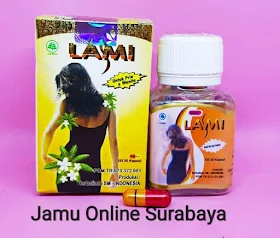 jual kapsul lasmi pelangsing di surabaya