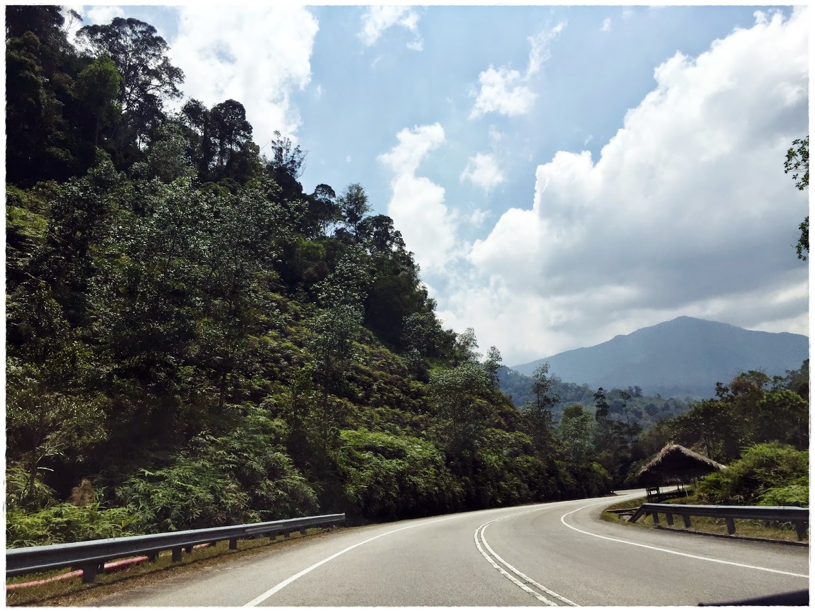 DoubleY: Penang --> Cameron Highlands --> Genting Highlands --> Penang