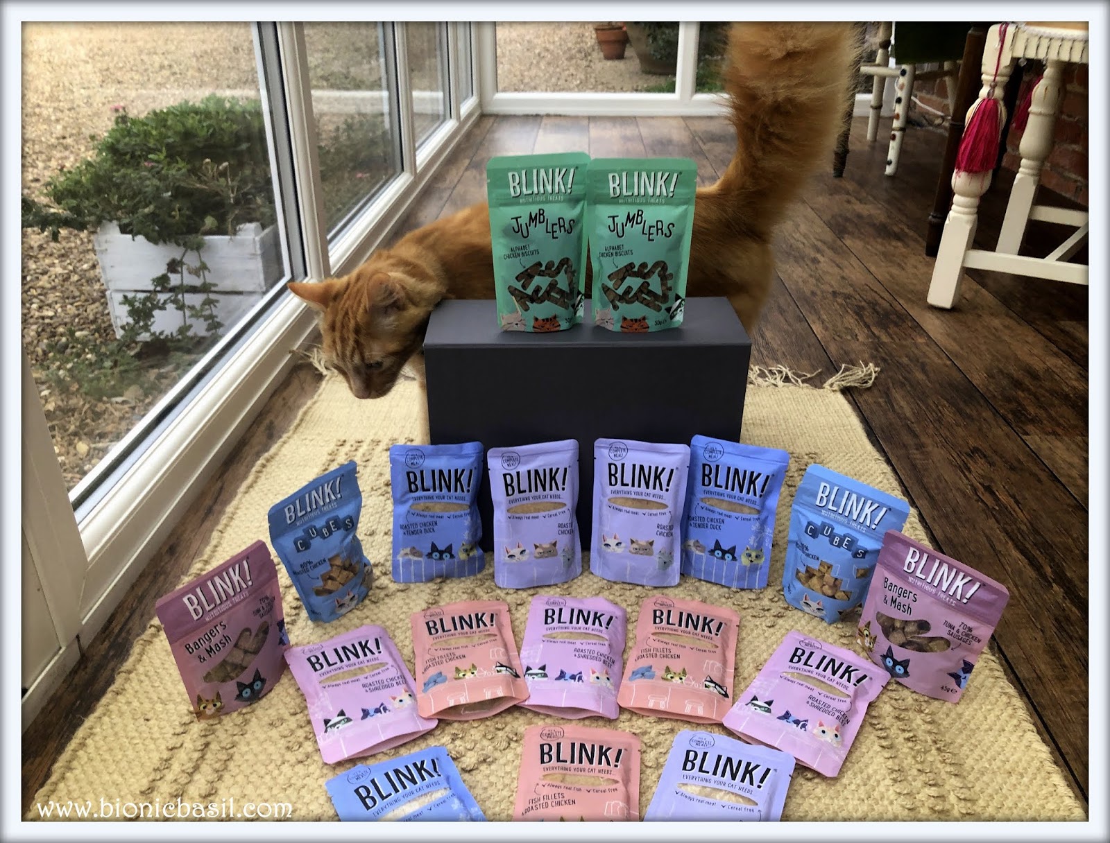 Bionic Basil® home of Basil and The B Team WHAT'S IN THE BOX? on In