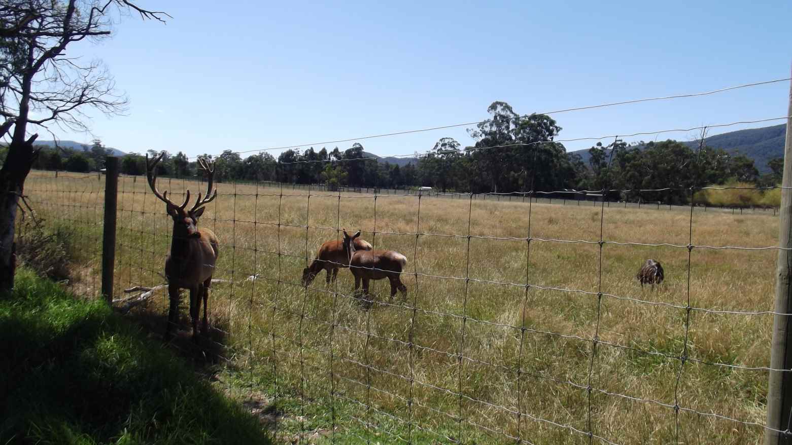 TRACKS, TRAILS AND COASTS NEAR MELBOURNE Warburton Rail Trail