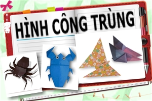 Hình Côn Trùng Hình Côn Trùng