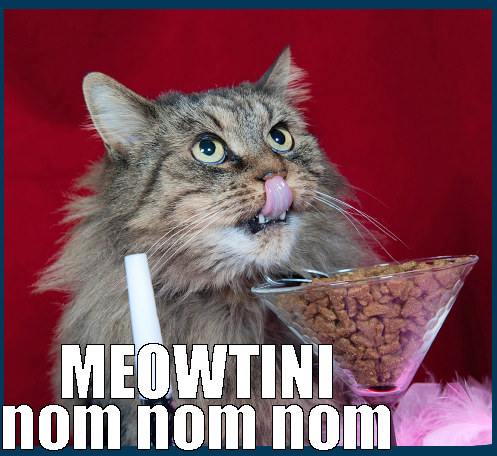 cat eating right out of a martini glass cat food