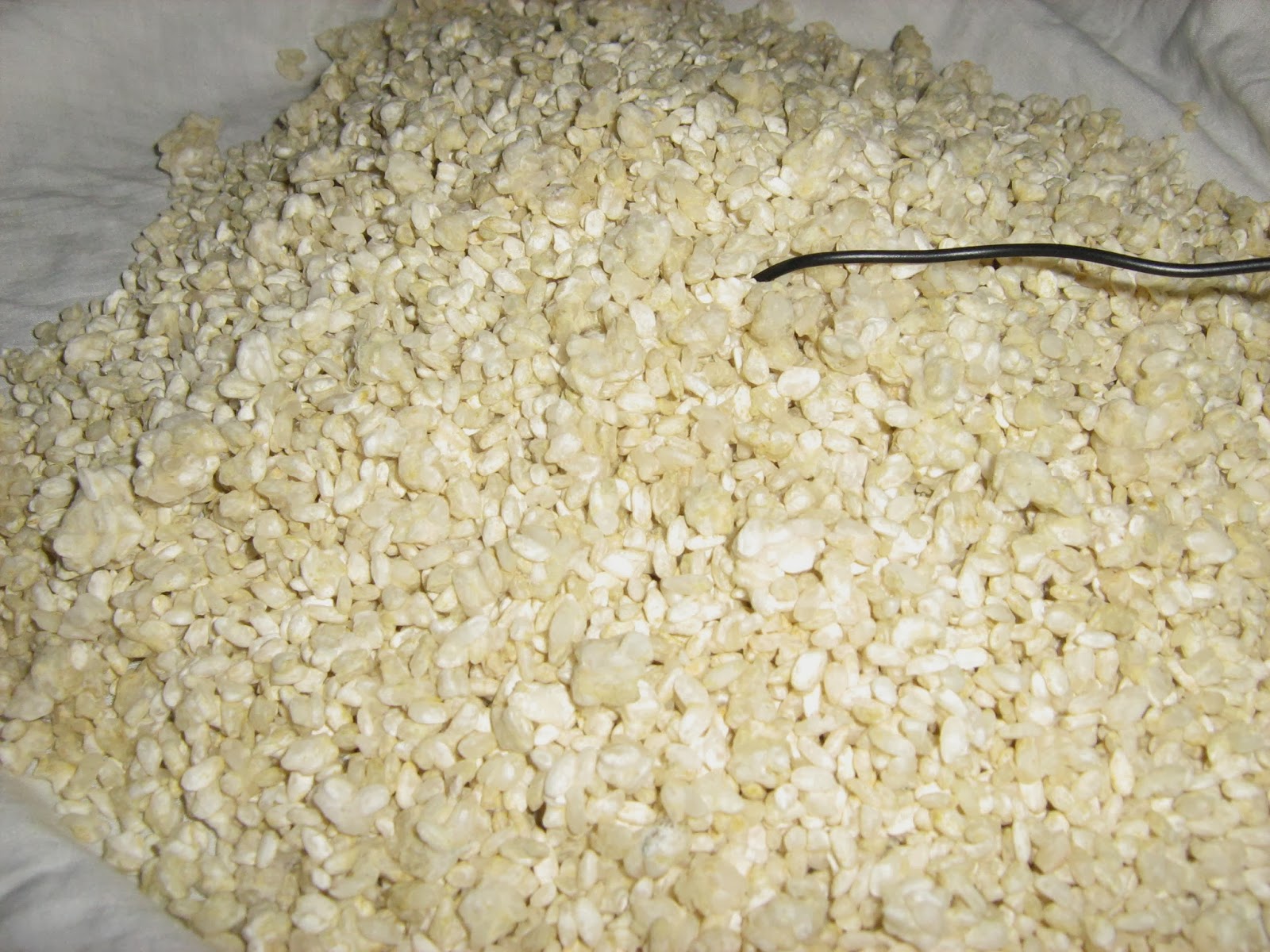 Sake Saru's Guide to Home Brew Sake. Update on Kome Koji batch using