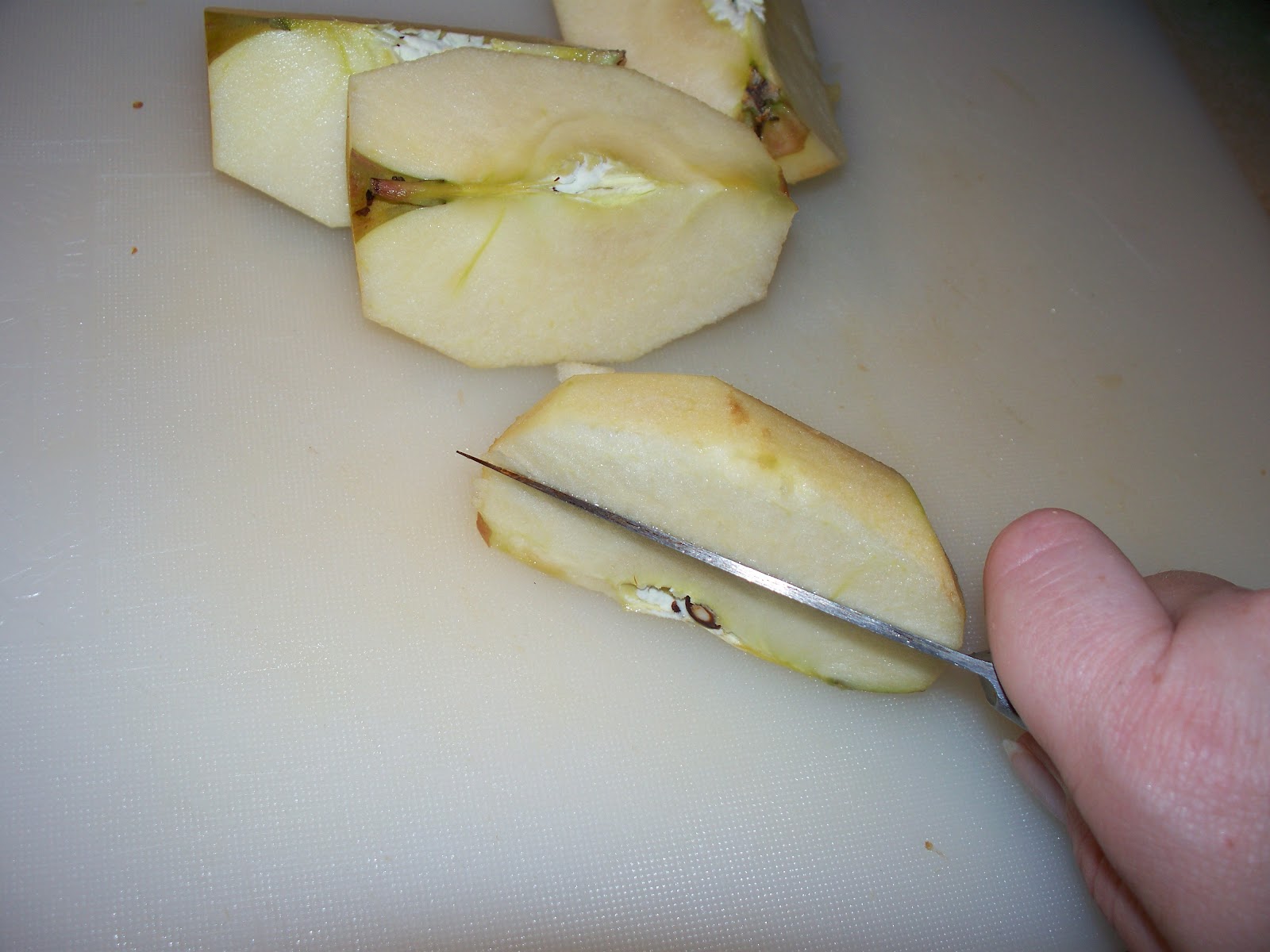 Molly's Lunch Box Salad Lunch with Homemade Applesauce and Recipe