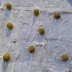 pastel de pan de molde con atún y palitos de surimi