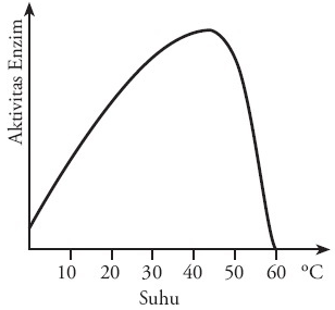 Faktor yang mempengaruhi Kerja dan Aktivitas Enzim Jaini Loen