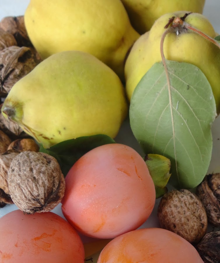 COSECHA DE MEMBRILLOS, CAQUIS Y NUECES