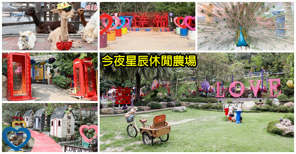 彰化市|今夜星辰休閒農場|婚紗攝影造景|可愛動物互動|約會親子景點 彰化市|今夜星辰休閒農場|婚紗攝影造景|可愛動物互動|約會親子景點