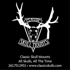 Classic Skull Mounts