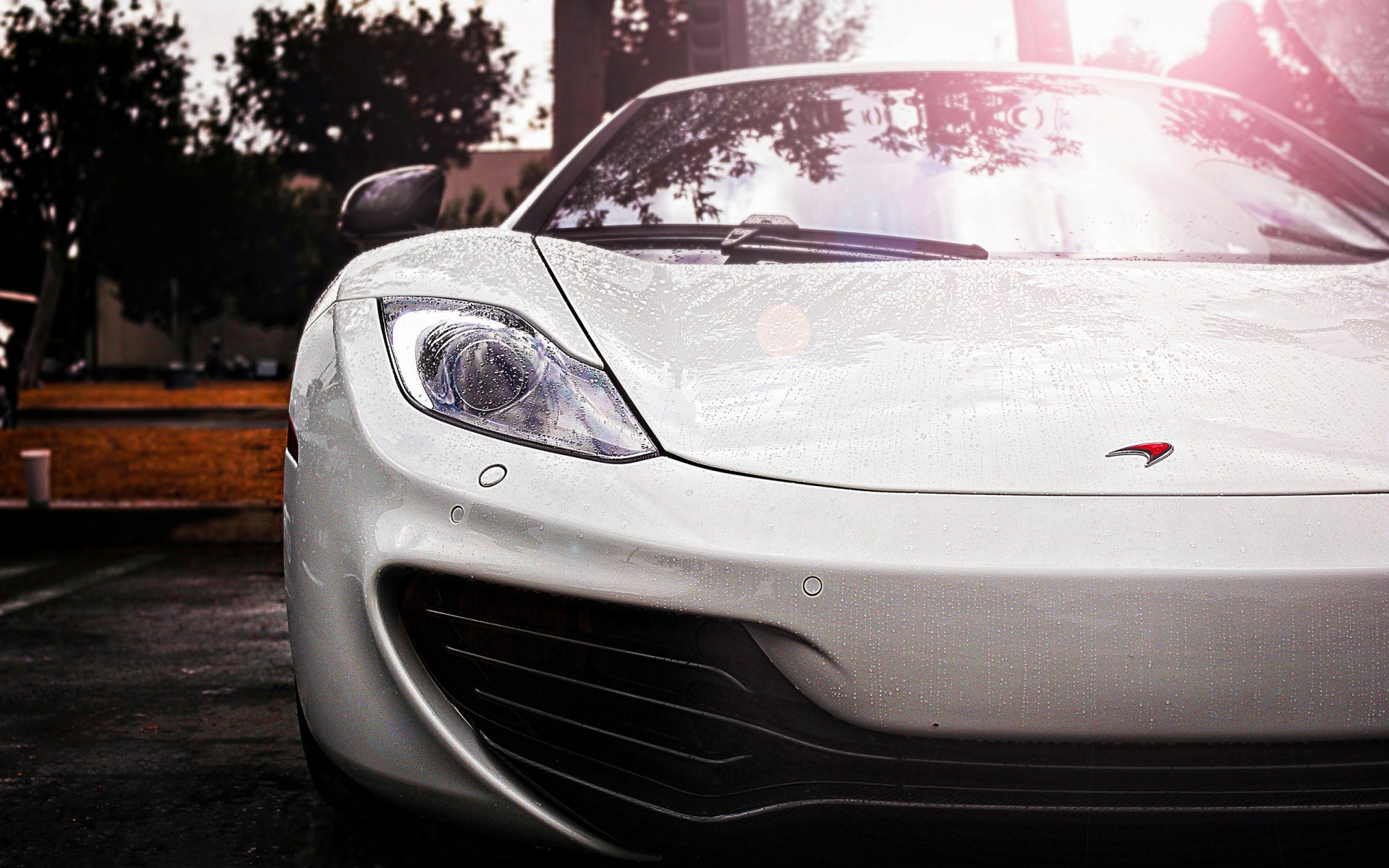 White Car Front Wallpaper