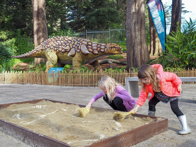 digging for dinosaur bones