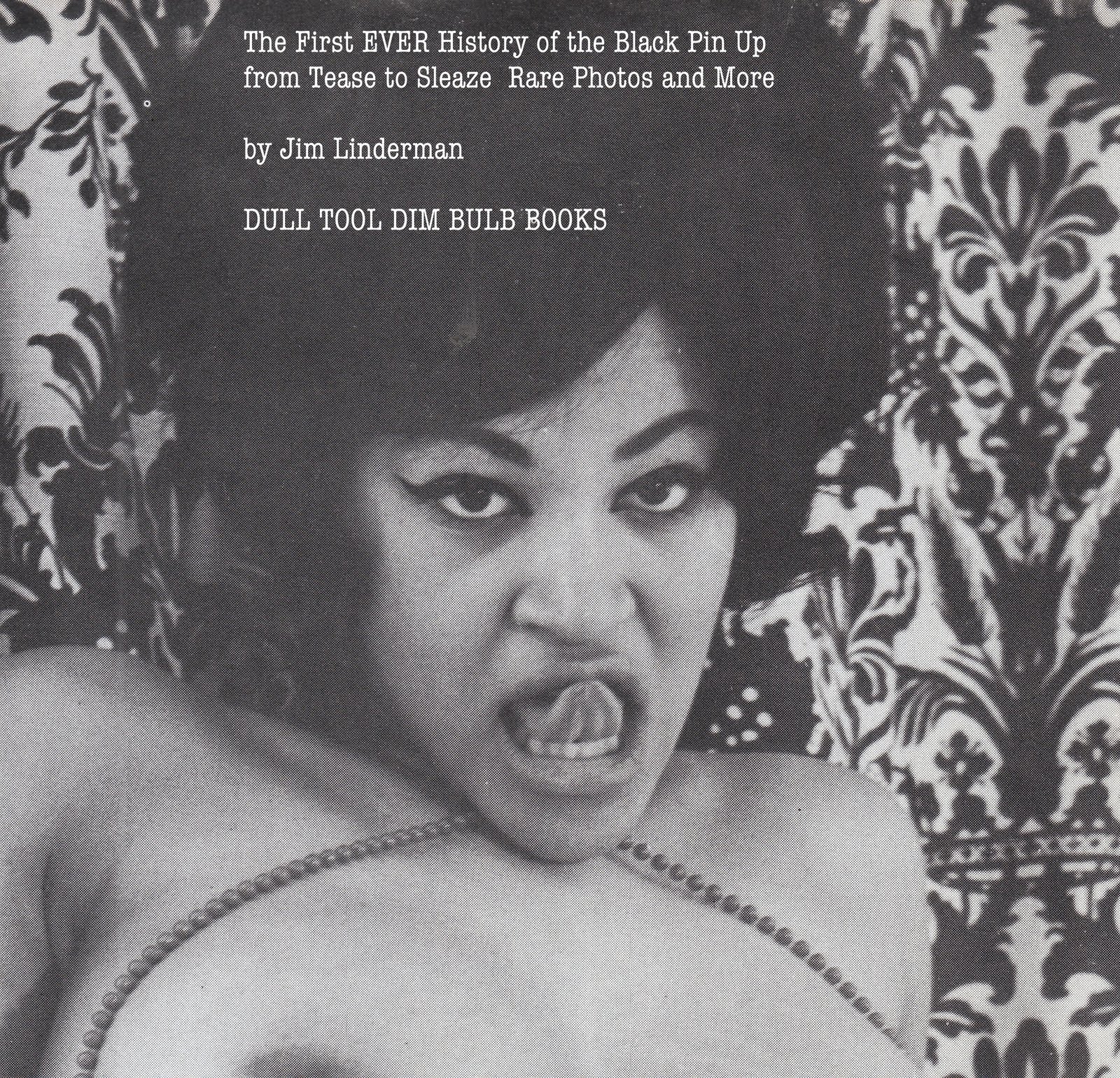 Black Pin Up Girls Porn - Dull Tool Dim Bulb: First Book Ever on African American Pin ups SECRET  HISTORY OF THE BLACK PIN UP