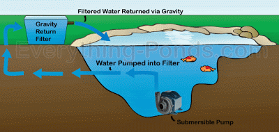 koi-pond-filtration-ideas-gravity-fed-filter.jpg