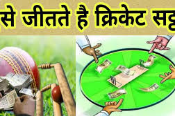 Cricket bhav app new