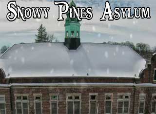 Snowy Pines Asylum Juegos de Escape