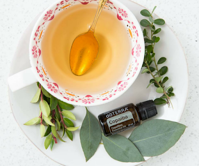 Copaiba Essential Oil Benefits Copaiba Essential Oil Benefits