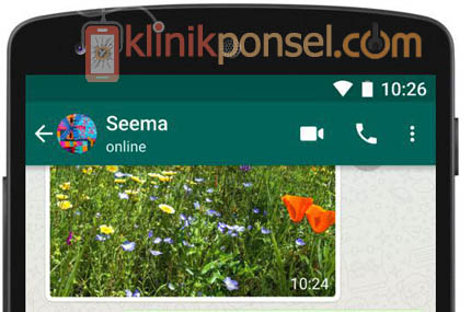 Cara Menyembunyikan Status Online Whatsapp Tips Smartphone Laptop Dan Komputer