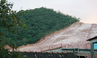 Amazonia brasileña