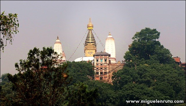 Swayanbhunath-Temple