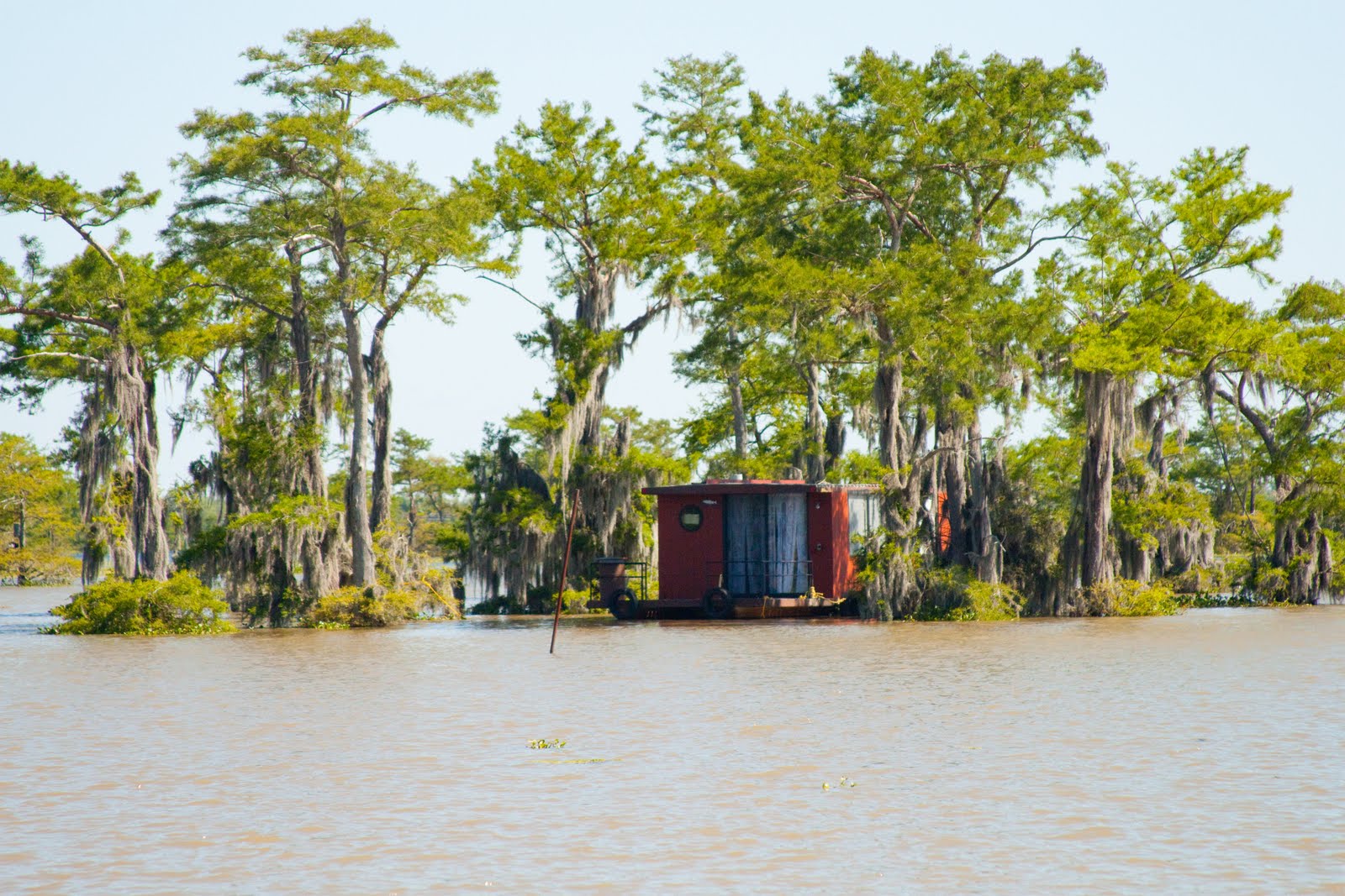 My Musings: Down on The Bayou
