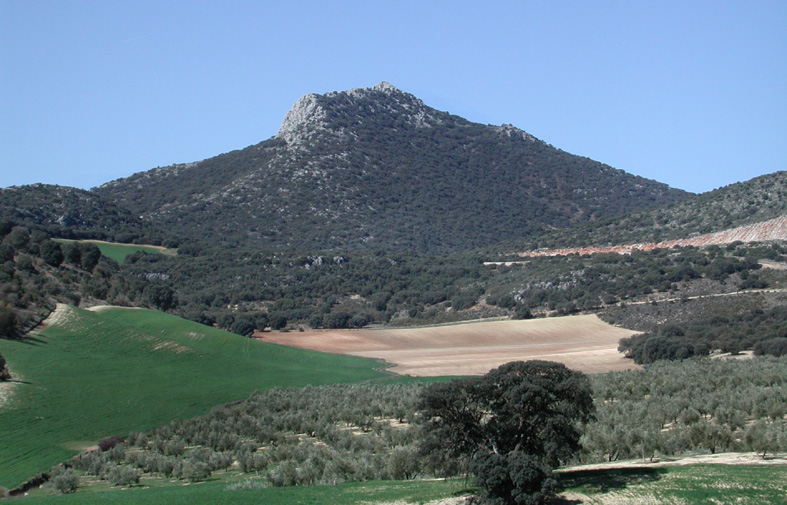 Foto de Cerro del Cabañil en Iznalloz, Granada