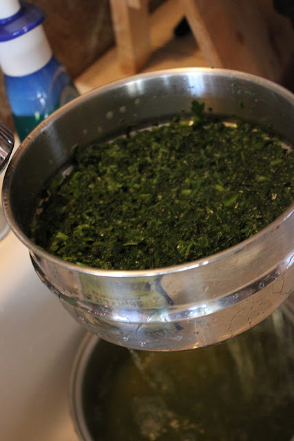 The Schuyler Family: Josh, Sarah and the Kids: Spinach Cheese Bake and