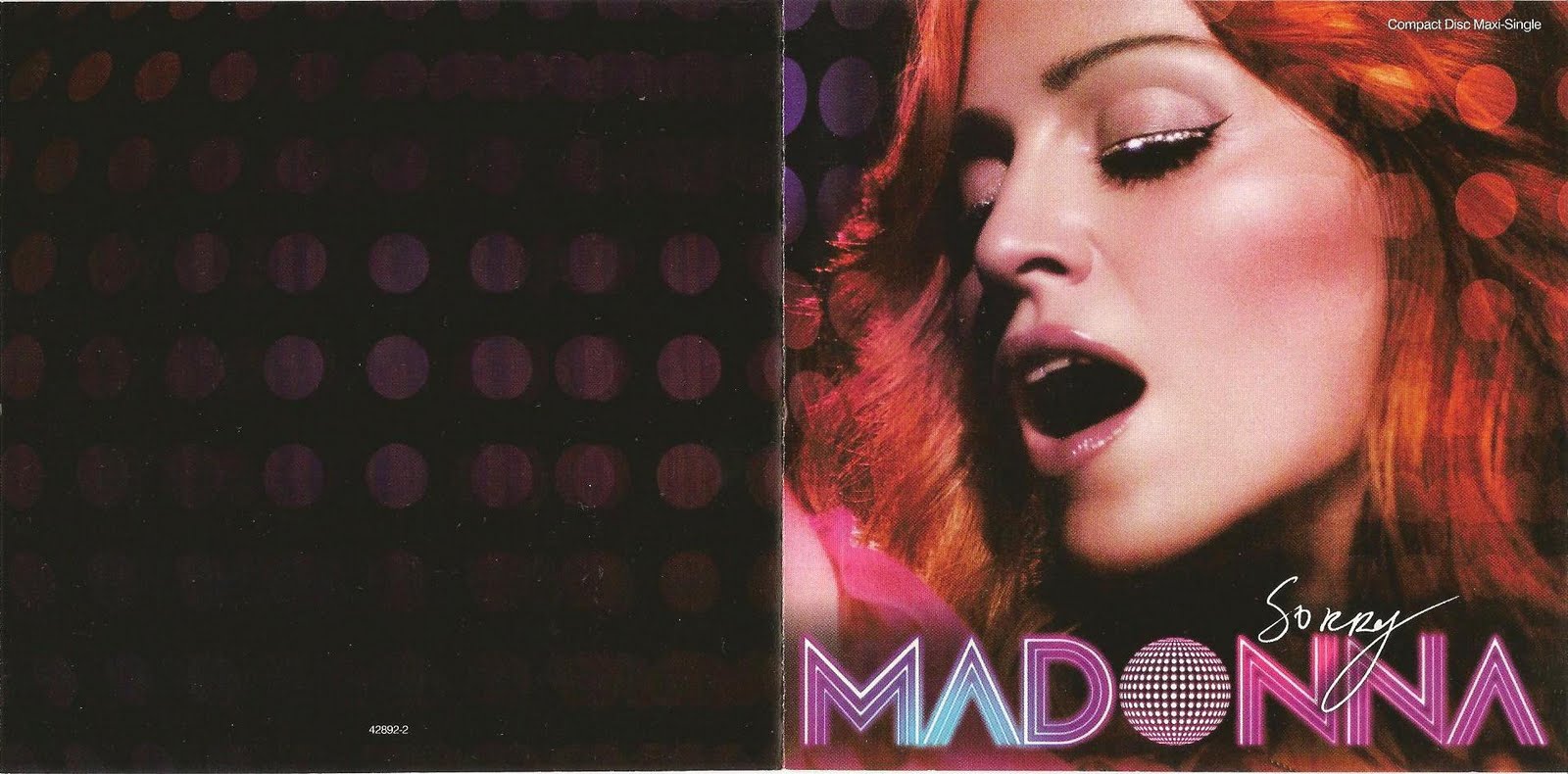 Madonna sorry lyrics